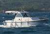 Motorboot bei Cavtat in Dalmatien