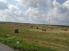 Slawonien