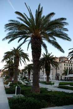 Hotel in Dugi Otok