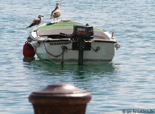 Möwen auf einem Boot in Baska auf Krk