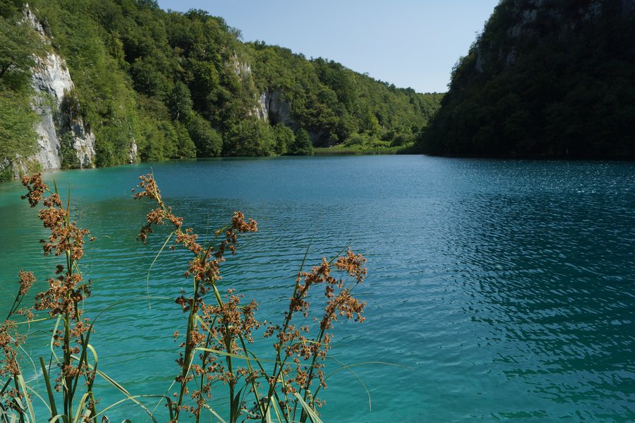 File:Kaluđerovac.jpg