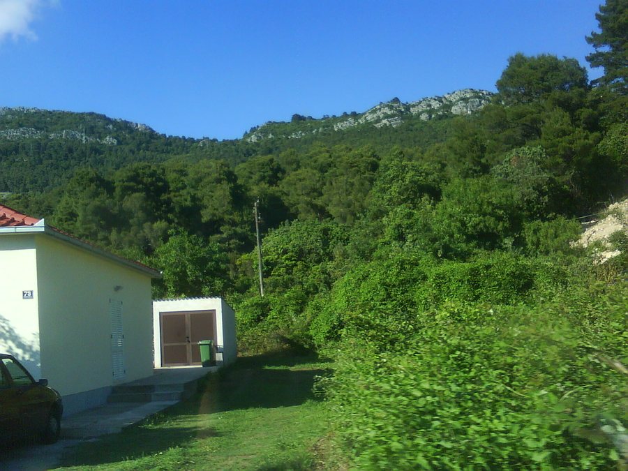 File:Trstenik-01128.JPG