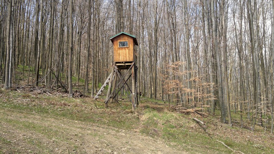 File:34330, Velika, Croatia - panoramio (1).jpg