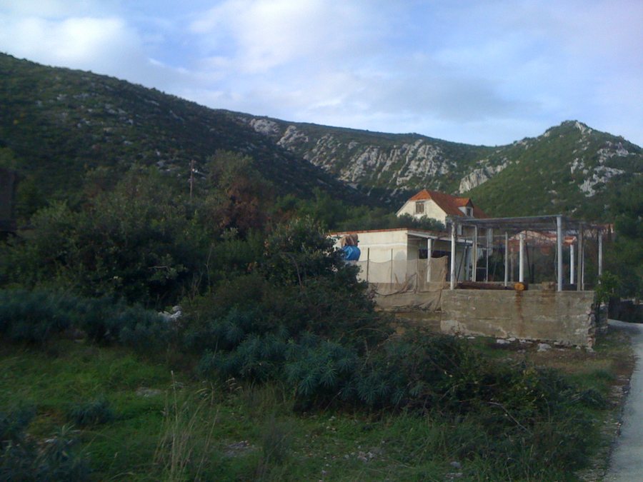 File:Duba Stonska 6018.jpg