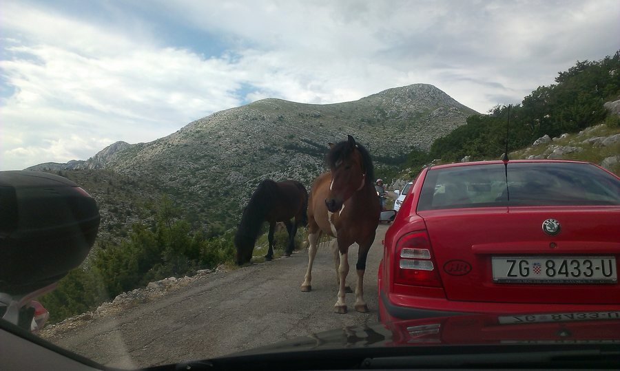 File:Tučepi, Croatia - panoramio.jpg