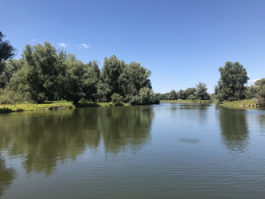 File:Kopački Rit, Sakadaš lake, Kopačevo, 2025 (10).jpg