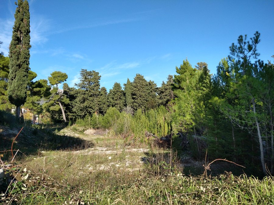 File:Hotel Palace garden (neglected), Kaštel Stari 20211204 19.jpg