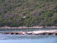 Naturparks und Nationalparks Kroatien