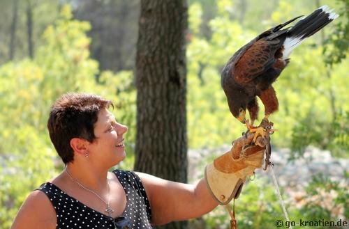 Besucherin mit Falke