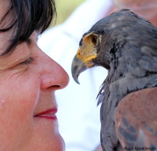 Sabine mit Falke